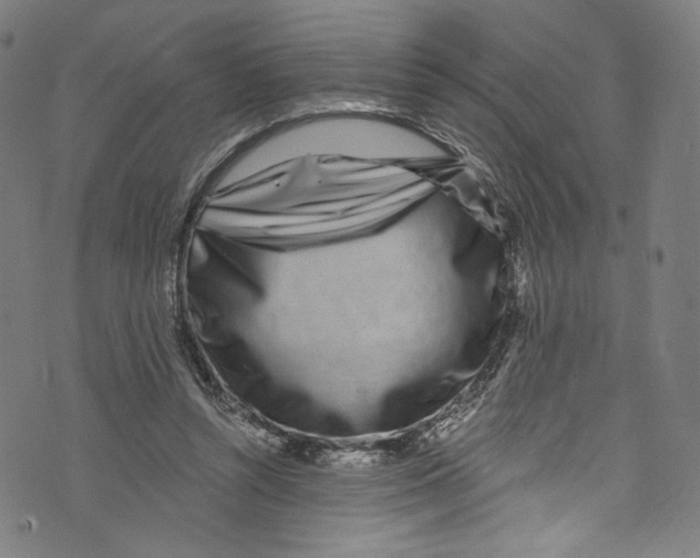 X0000072990352200608211521