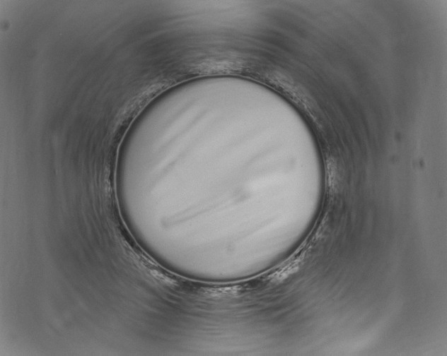 X0000072990353200608211521