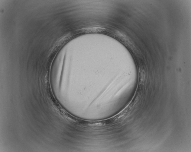 X0000072990357200608211521