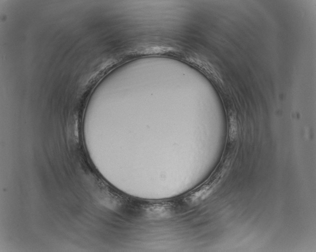 X0000072990358200608211521