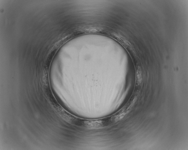 X0000072990359200608211522