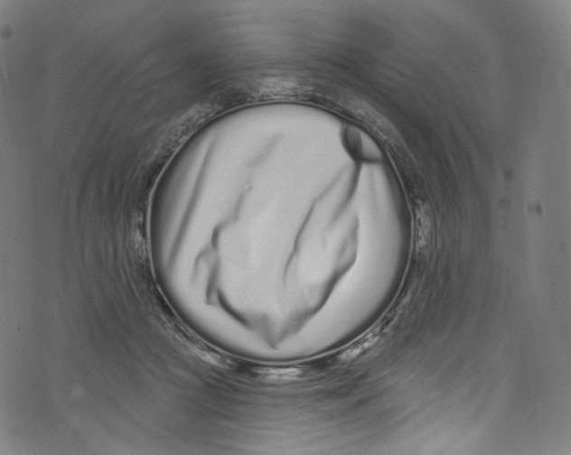 X0000072990361200608211522