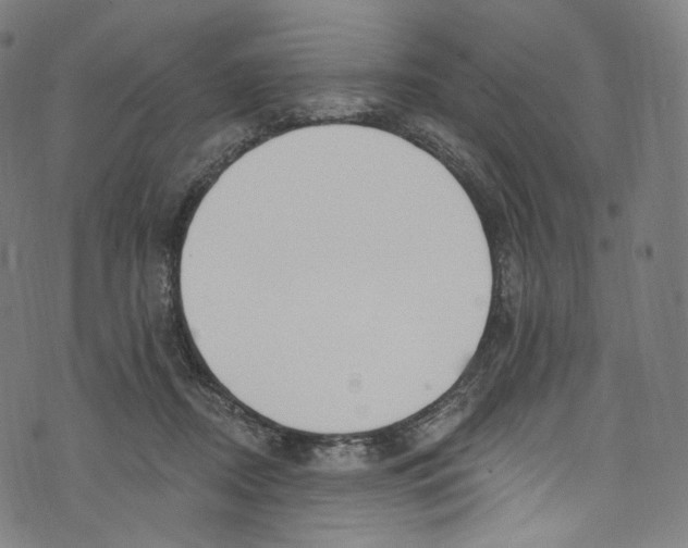 X0000072990362200608211522