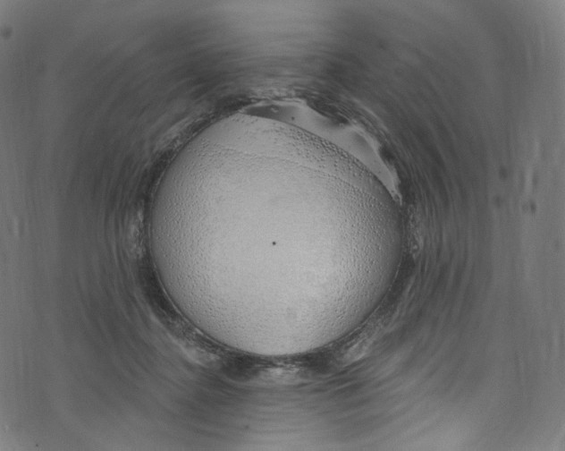 X0000072990364200608211522