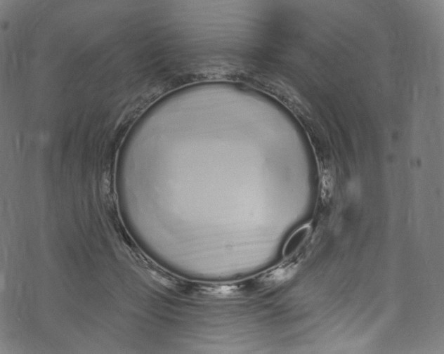 X0000072990365200608211522