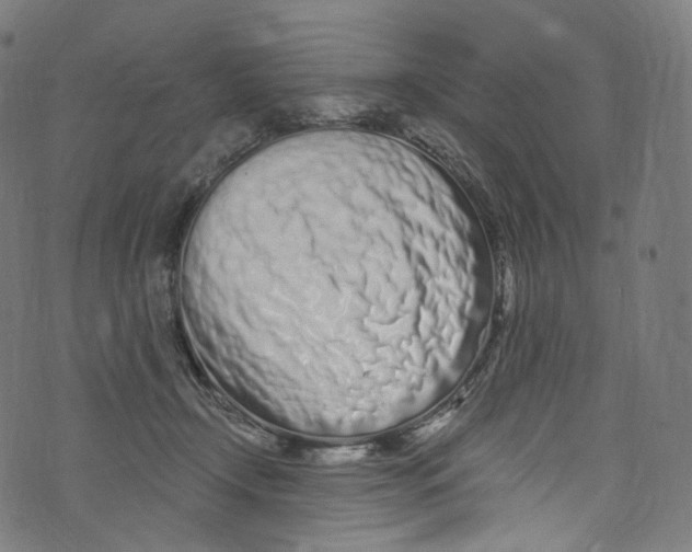 X0000072990366200608211522