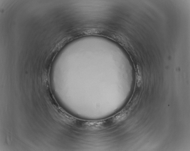 X0000072990367200608211522