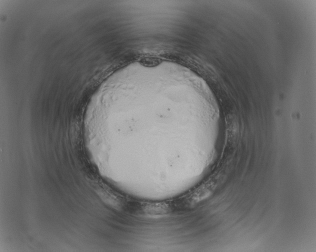 X0000072990369200608211522