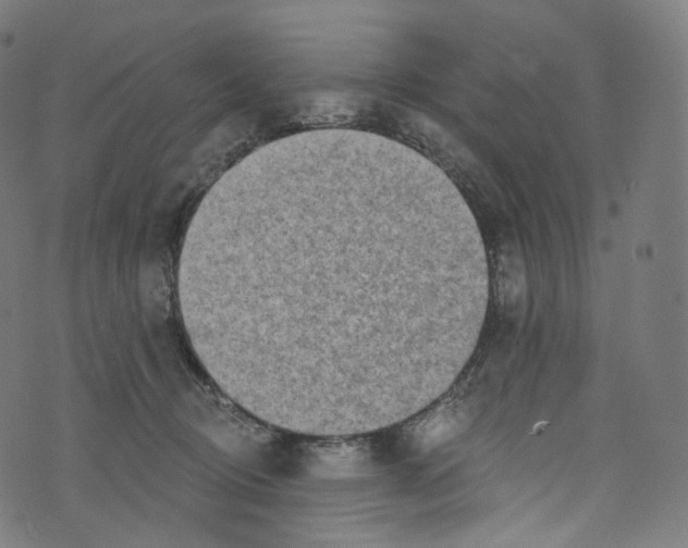 X0000072990370200608211522