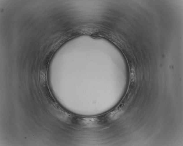 X0000072990371200608211522