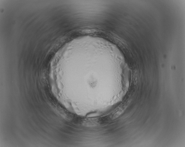 X0000072990373200608211522