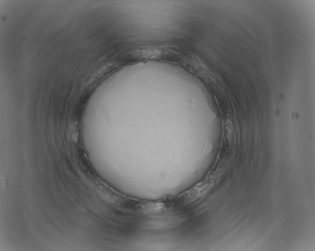 X0000072990374200608211522