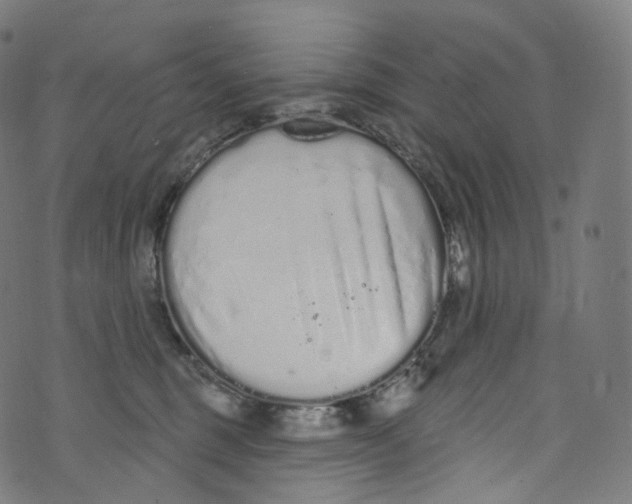 X0000072990375200608211522