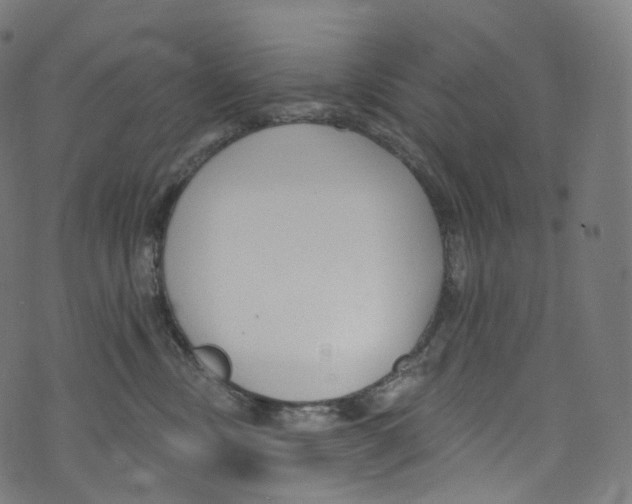 X0000072990378200608211522