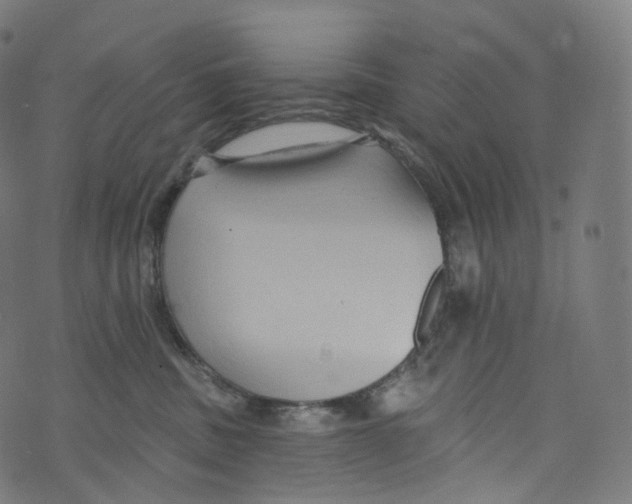 X0000072990379200608211522