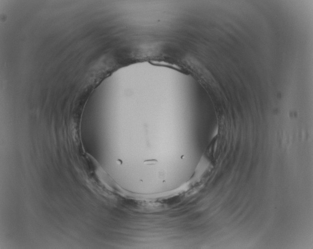 X0000072990380200608211522