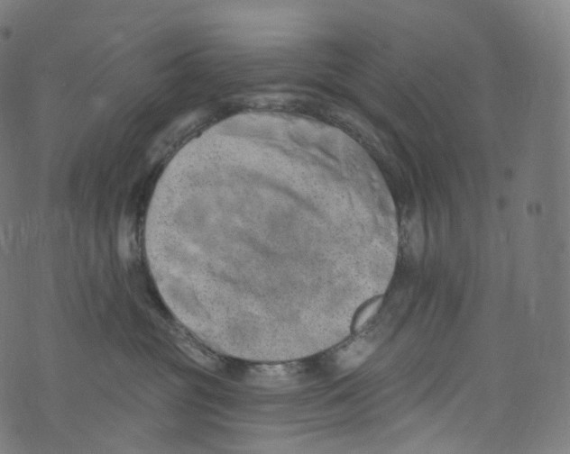 X0000072990381200608211522