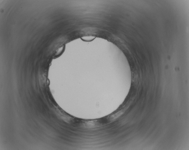 X0000072990382200608211522