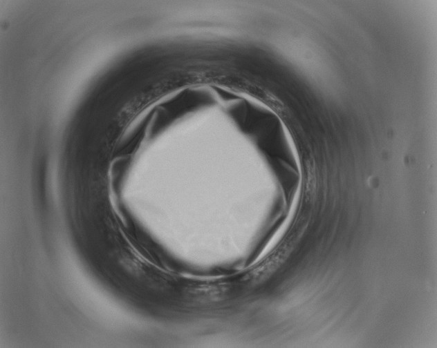 X0000072990383200608211522