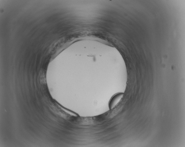 X0000072990384200608211522