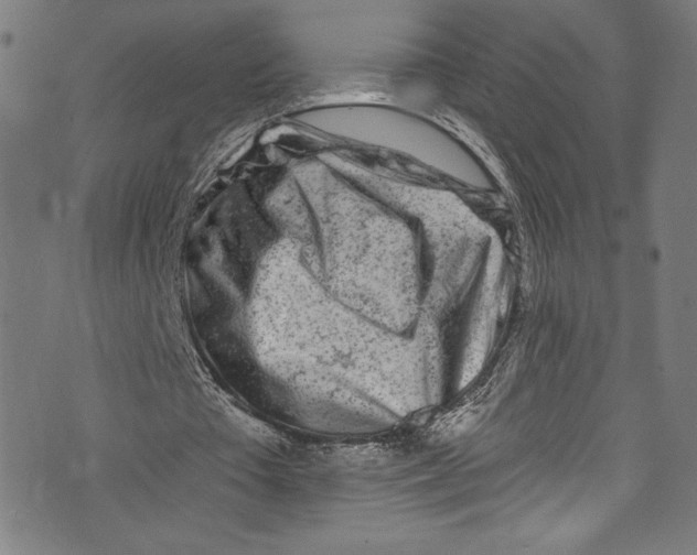 X0000072990385200608211521