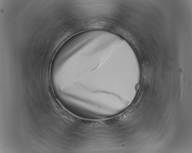 X0000072990386200608211521