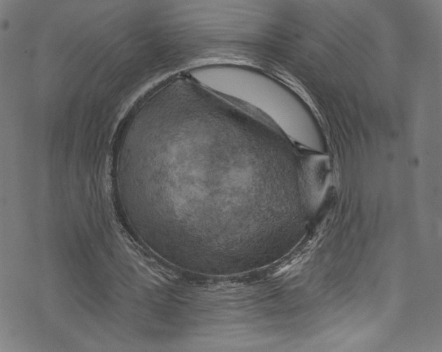 X0000072990387200608211521