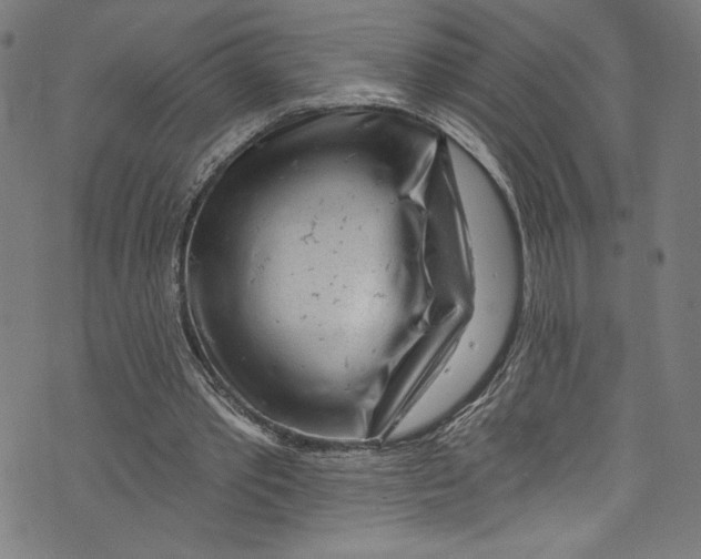 X0000072990389200608211521