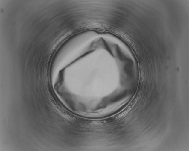 X0000072990390200608211521