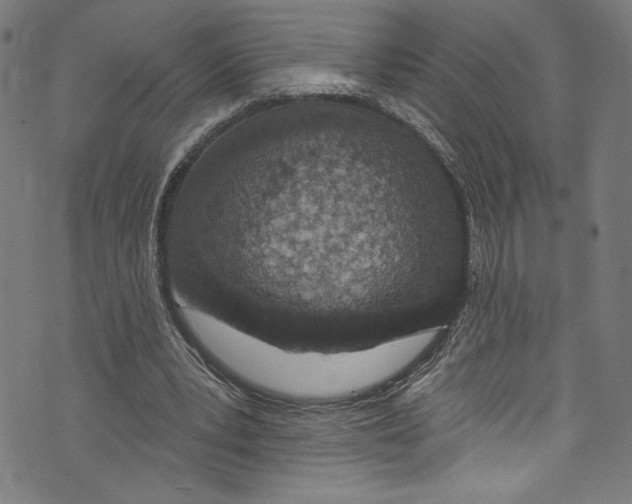 X0000072990391200608211521