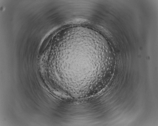 X0000072990392200608211521