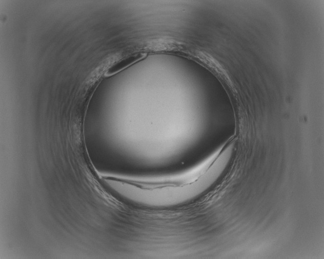 X0000072990393200608211521