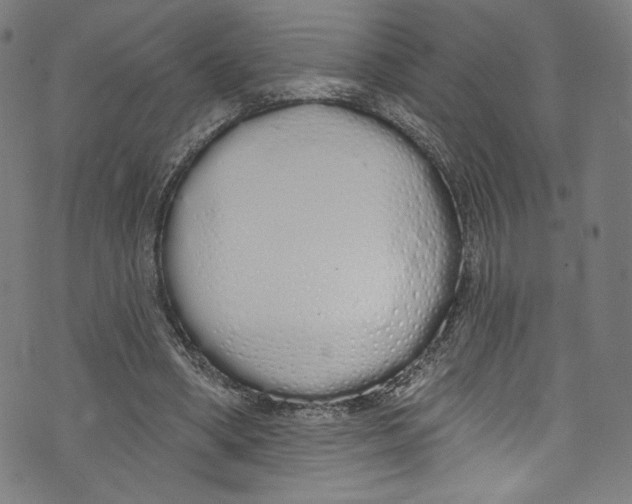 X0000072990394200608211521