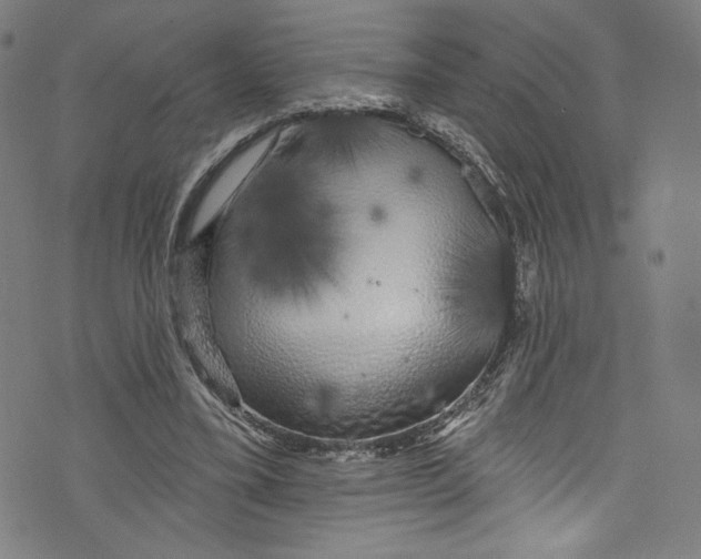 X0000072990395200608211521