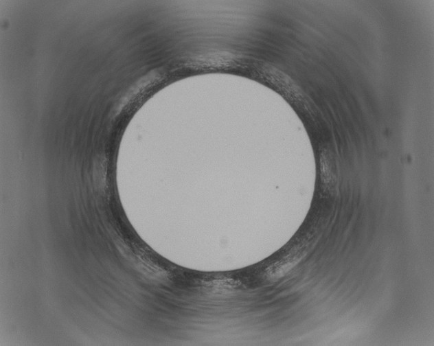 X0000072990396200608211521