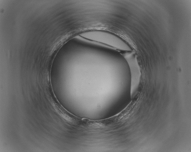 X0000072990397200608211521