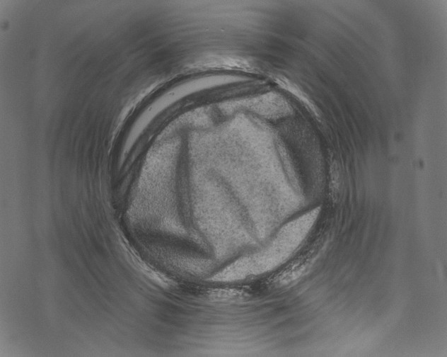 X0000072990399200608211521