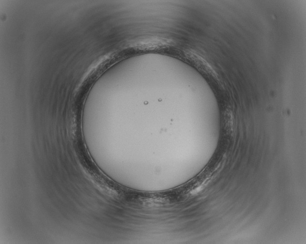 X0000072990400200608211521