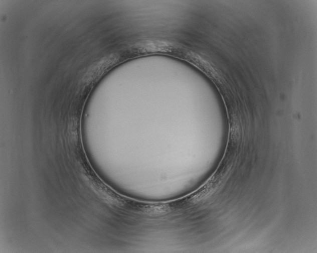 X0000072990402200608211521