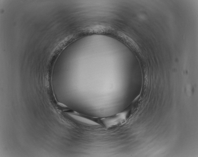 X0000072990403200608211521