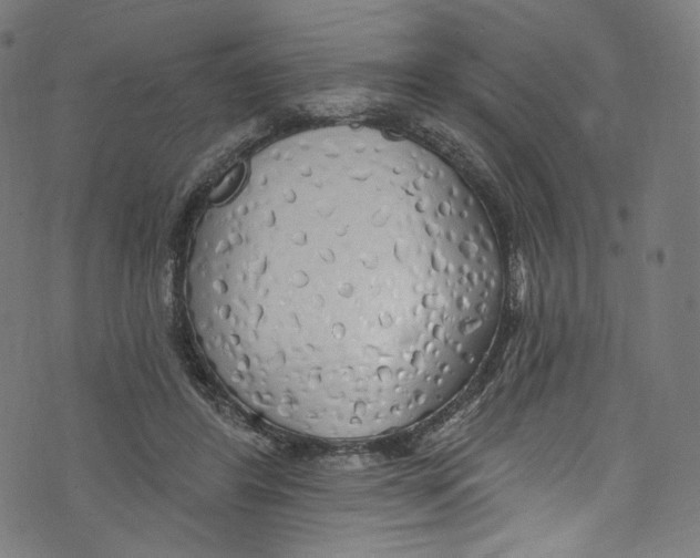 X0000072990404200608211521