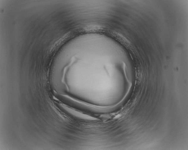 X0000072990405200608211521