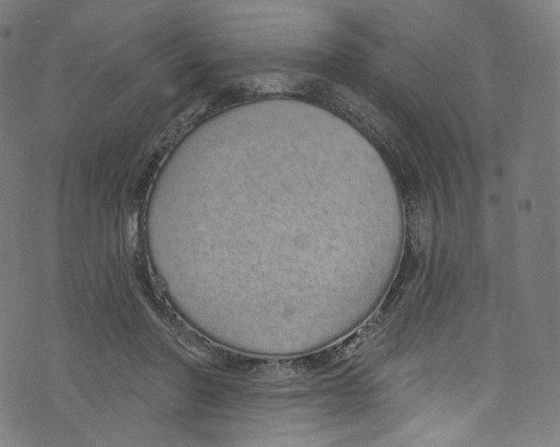 X0000072990406200608211521