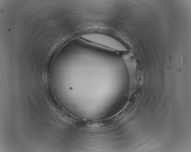 X0000072990407200608211521