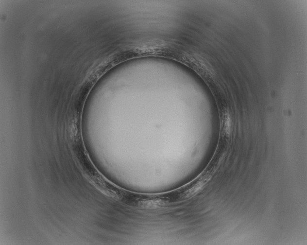 X0000072990408200608211521