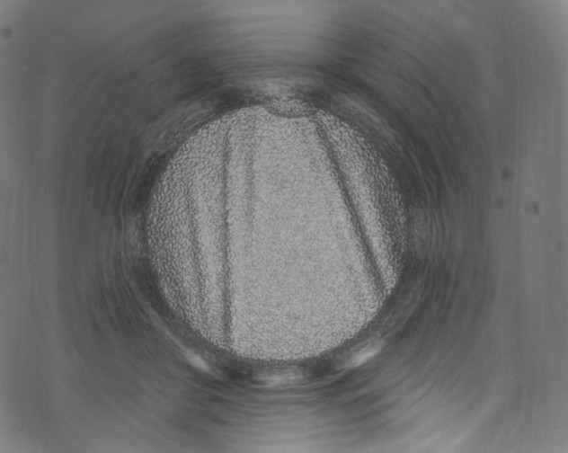 X0000072990410200608211521