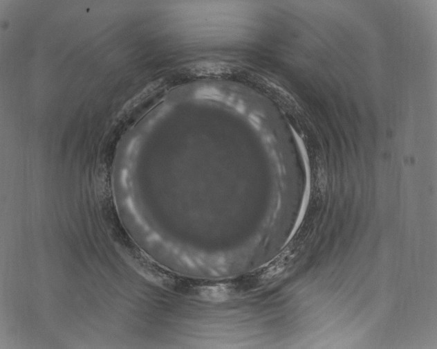 X0000072990411200608211521