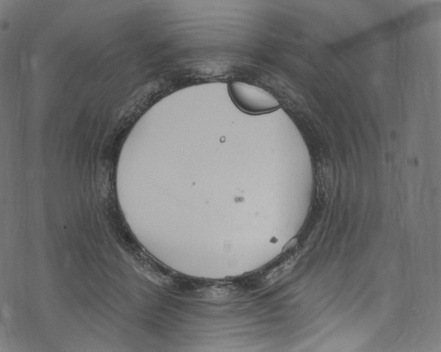 X0000072990412200608211521