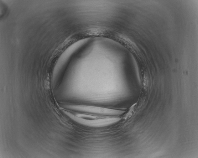 X0000072990413200608211521