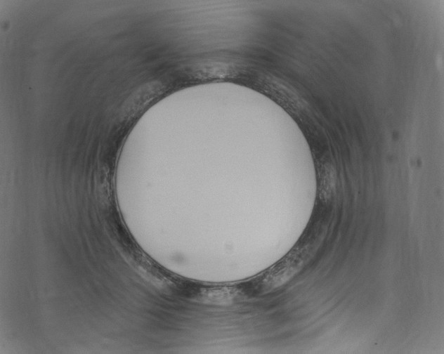 X0000072990414200608211521